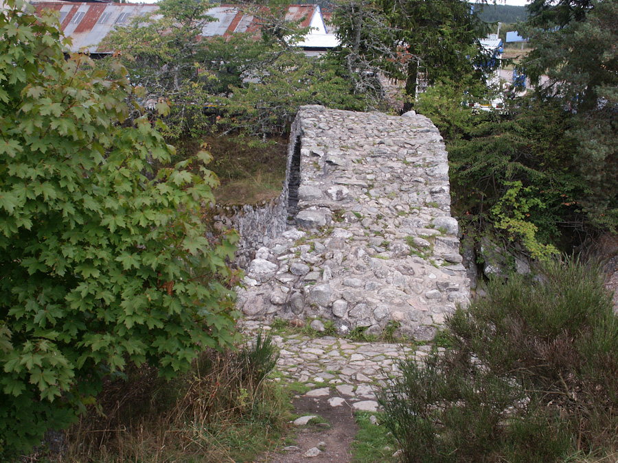 Carrbridge Old Packhorse Bridge