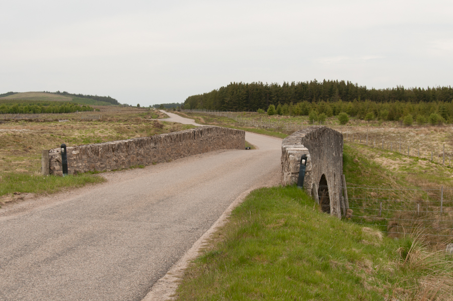Rhian Bridge