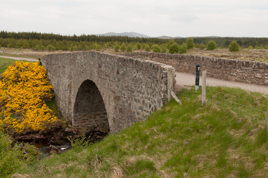 Rhian Bridge
