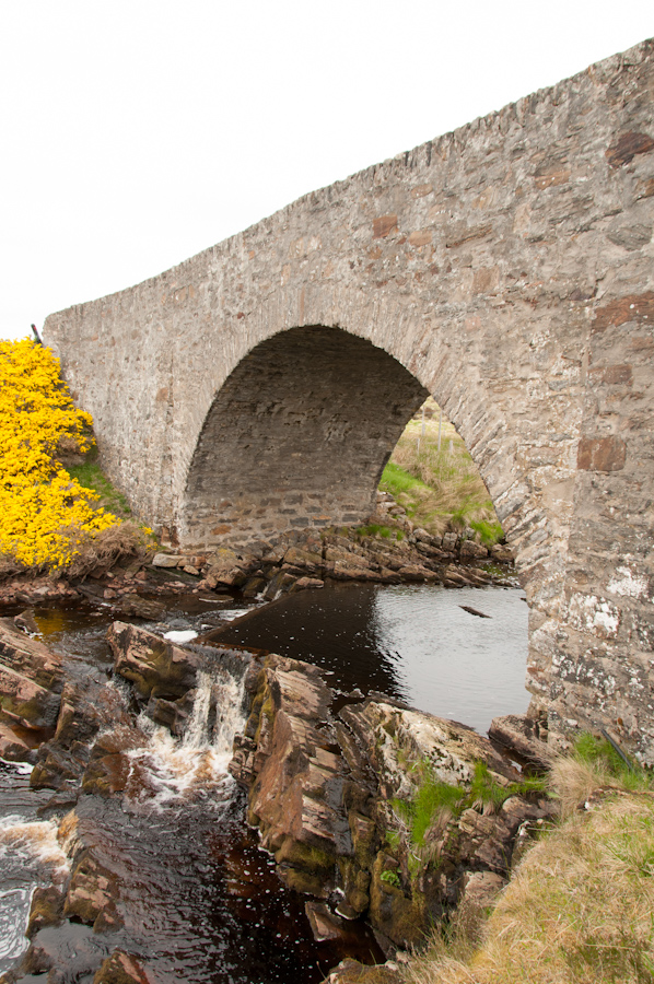 Rhian Bridge