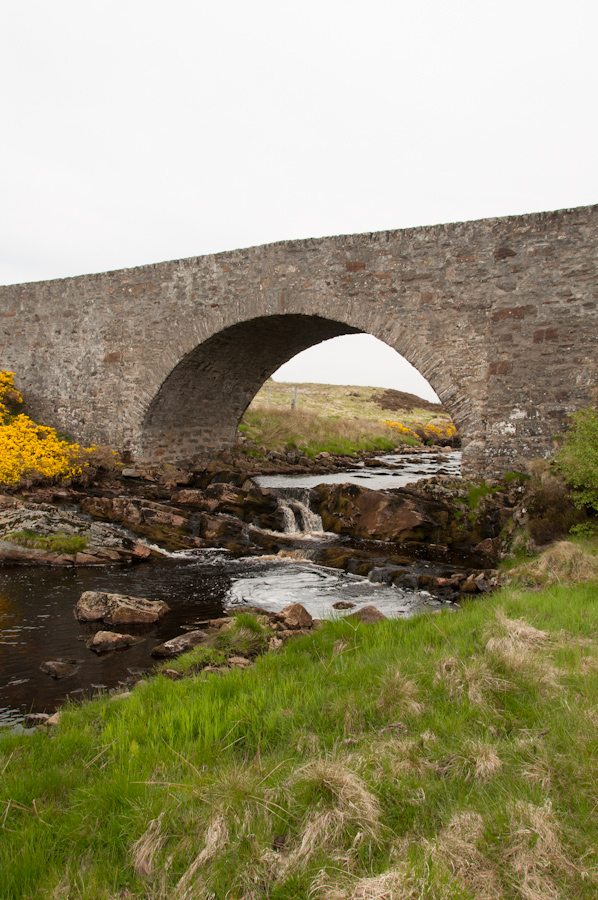 Rhian Bridge