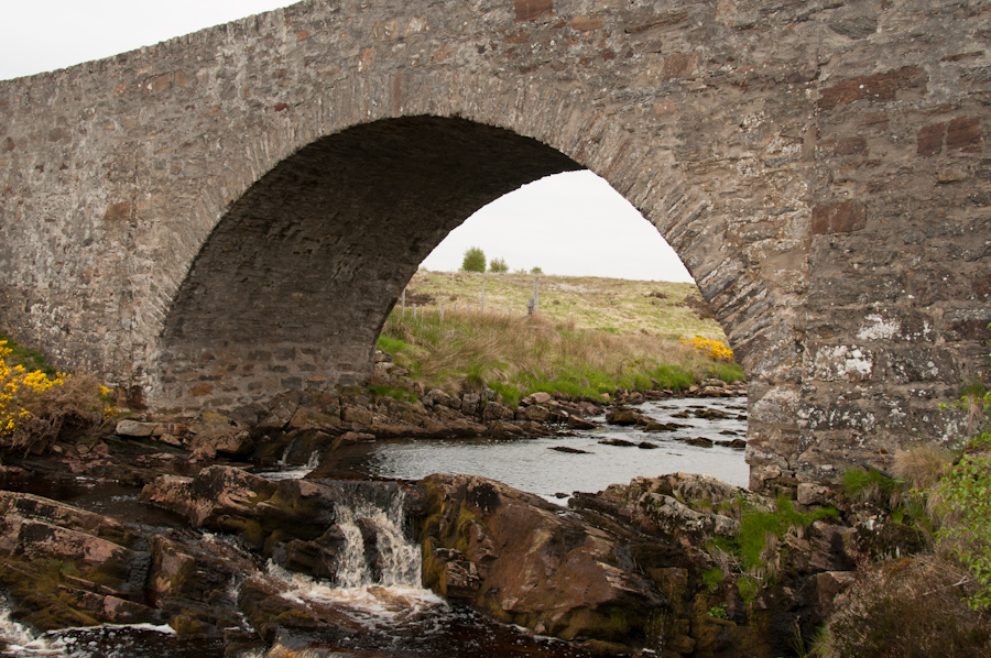 Rhian Bridge