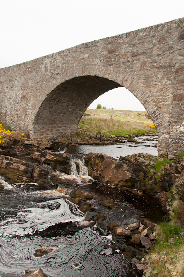 Rhian Bridge