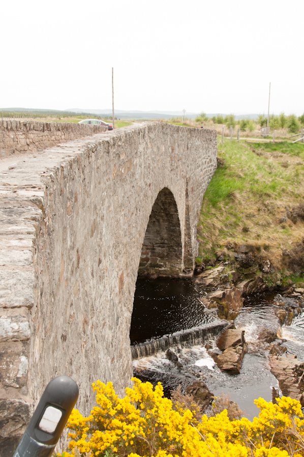 Rhian Bridge