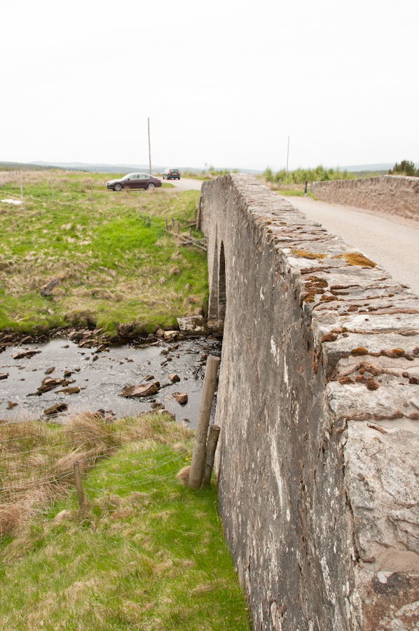 Rhian Bridge