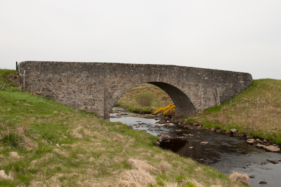 Rhian Bridge