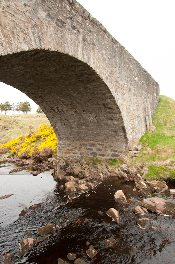 Rhian Bridge