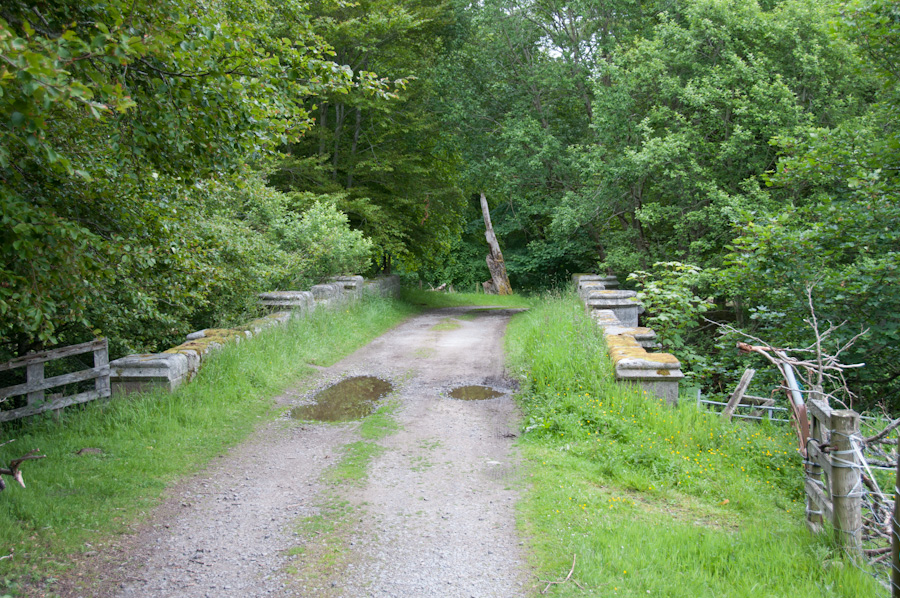 Railway Bridge in Policies, Castle Grant