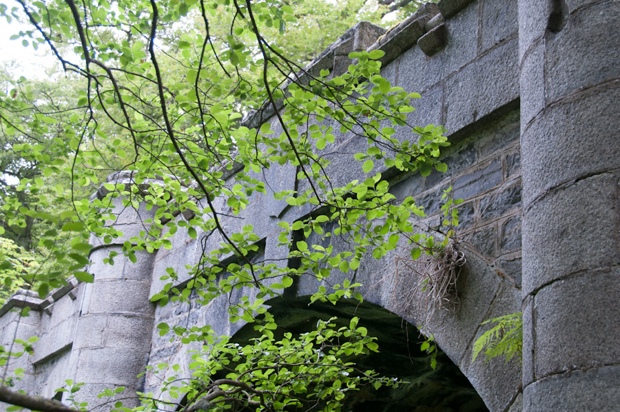 Railway Bridge in Policies, Castle Grant