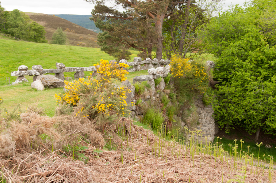 Bridge (Carrying Drive To House) over Farm Track, Culachy House
