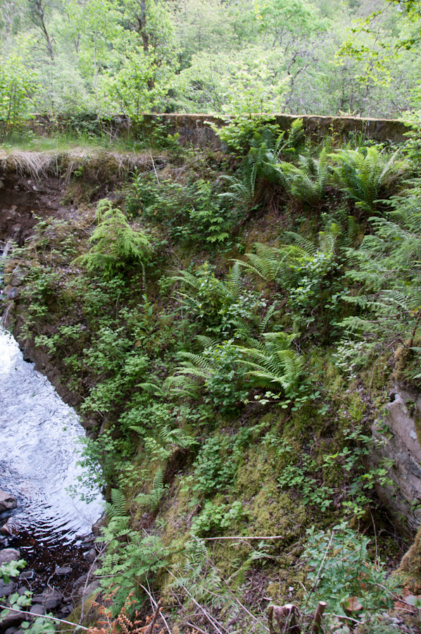 Old Bridge over River Farigaig, Inverfarigaig