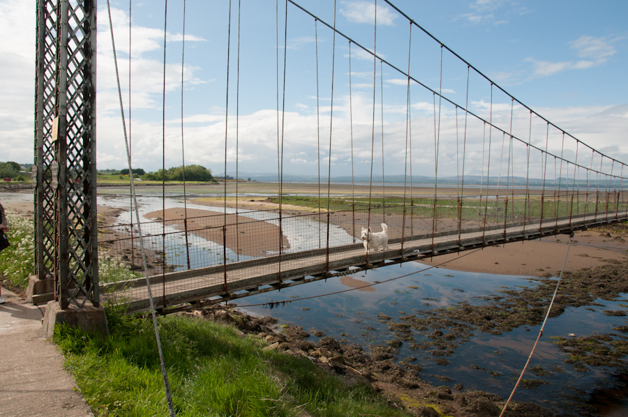 Alexandra Suspension Bridge, The Links, Tain