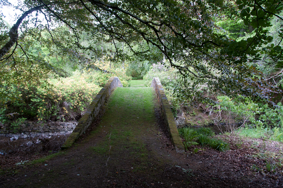 Ivy Bridge, Cullen