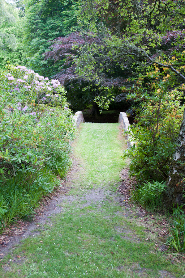 Ivy Bridge, Cullen